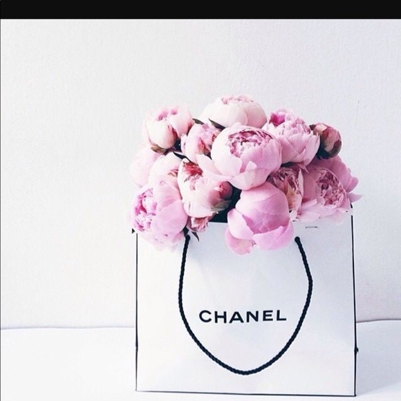 Meet your Posher, Ada - Picture 4 of 11